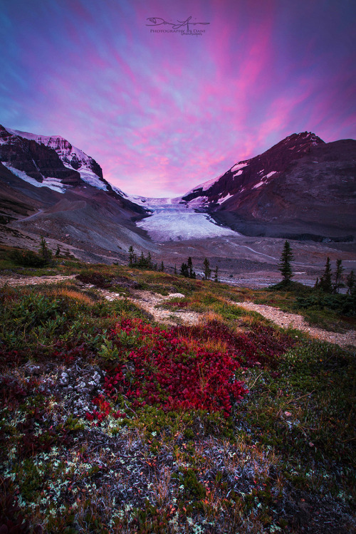 basdos:
Colourful Tundra | Dani Lefrancois #landscapes#skyscapes#scenery#rb lunarblue21#rb basdos
