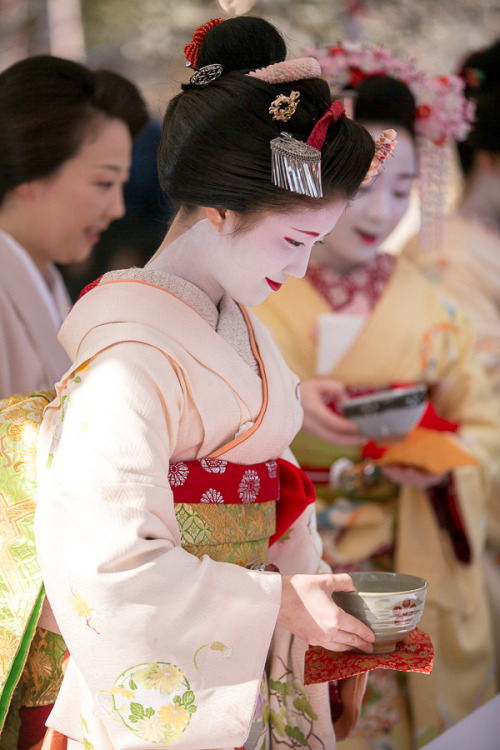 Baikasai 2016 + ume blossoms at Kitano Tenmangu shrine, by Prado Prado’s pictures always make me wis