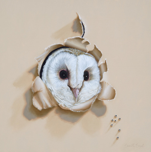 Trompe-l'oeil Snowy Owl Whimsical Bird Oil Painting by Camille Engel, &ldquo;Who-o-o&rsquo;s
