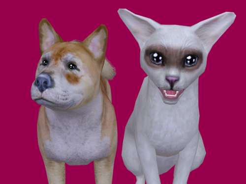 deedee-sims:Pet Face Markings #2I’ve made yet another set of pet face markings! I don’t have a prope