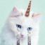 sprinklexunicorn