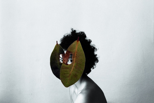 thinned-skin:untitled by Silence Effects on Flickr.