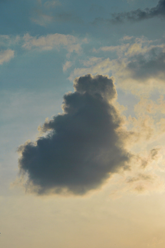 Photography By Peter Solarz