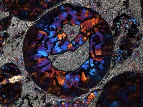 Heart Eyes from a MeteoriteThe image below is an impact spherule, seen through a microscope in cross