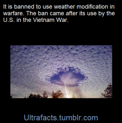 ultrafacts:  (Fact Source)Follow Ultrafacts