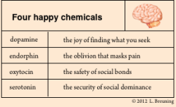 astrolocherry:  Dopamine = Sagittariusdiscovering and searching for universal delight and awarenessEndorphin = Pisces wax lyrical delirium, healing through esoteric richesOxytocin = Libra profound comfort amongst adoring company Serotonin = Leo it feels