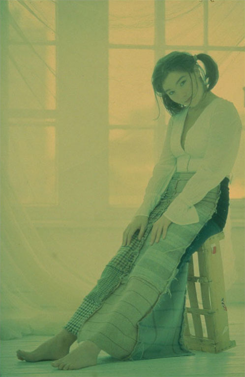 Björk 1993