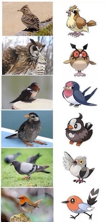 alternative-pokemon-art:This isn’t exactly the “Pokemon with their real life counterparts” request, 