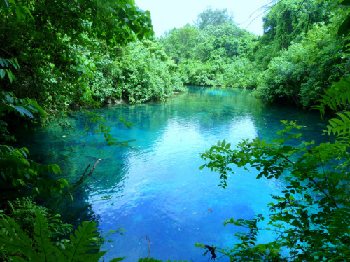 Blue Lagoon, Vanuatu by Jan Kokes