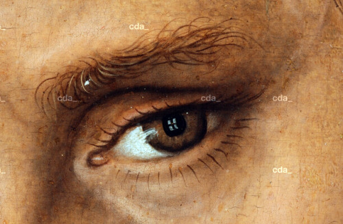 speciesbarocus - Lucas Cranach the Elder - Paul (c. 1515)....