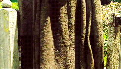 aaronpaauls-deactivated20141206:  Keep it secret. Keep it safe. 