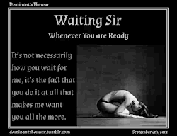 imsirtoyou:  I’m Sir To You Waiting for