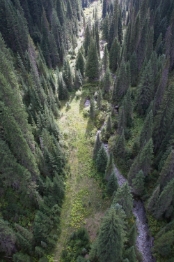 expressions-of-nature:  Hiawatha Trail by Chris LombardiIdaho, US