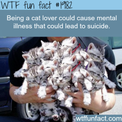 wtf-fun-factss:  Being a cat lover could