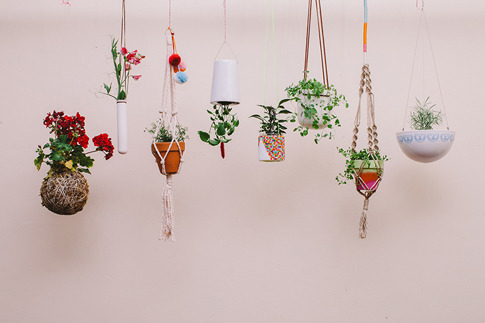 tulipsy:   indie