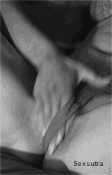 Lara-new blog
