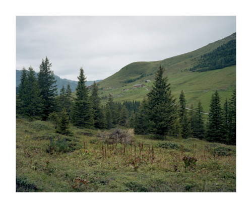 foxmouth:  Untitled Landscapes, 2015 | by Beat Billson  