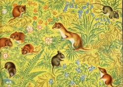 dippingthepeninapondfullofink:  Childen’s books &amp; endpapersSpringtime endpaper From Eileen Mayo’s Selection from “Little animals and shells”