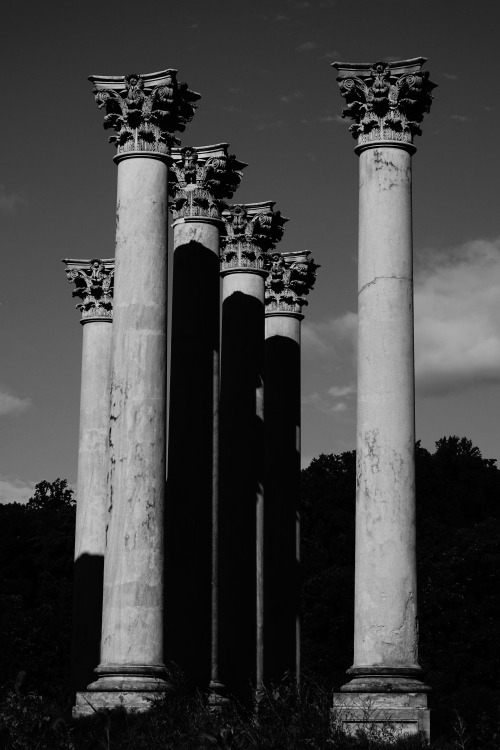 National Capitol Columns, National Arboretum, Washington, DCphoto: David Castenson