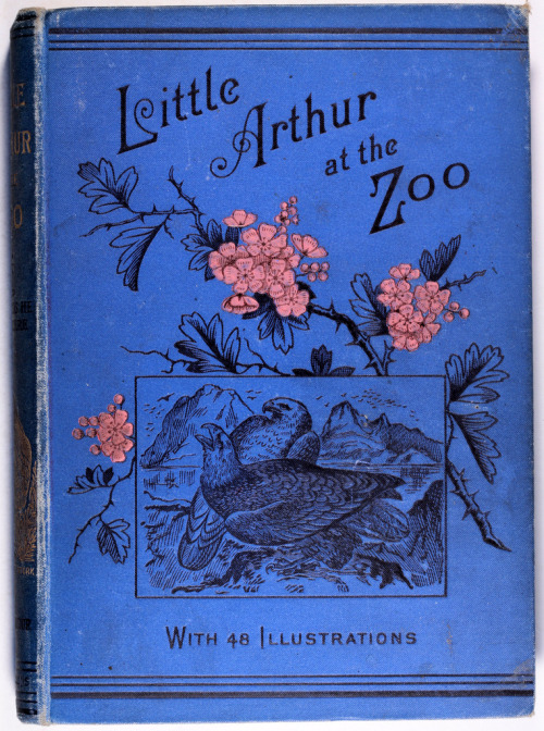 Little Arthur at the Zoo and the Birds he saw thereMary Seymour 1887