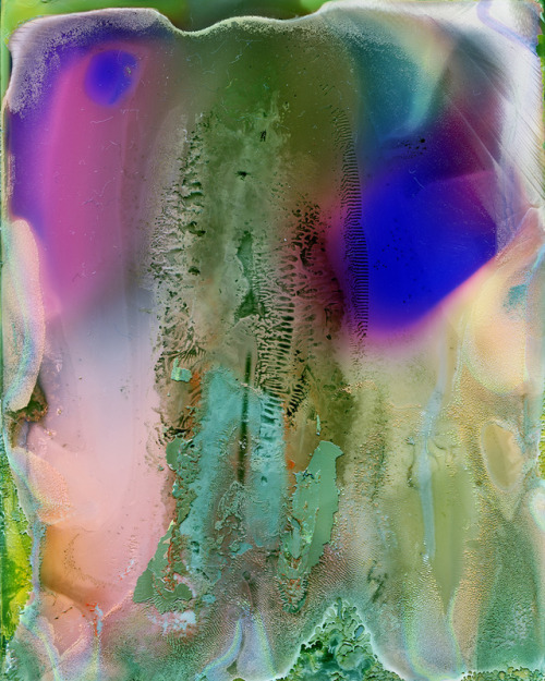 Daisuke Yokota aka 横田大輔 aka ヨコタ ダイスケ (Japanese, b. 1983, Saitama, Japan) - Untitled, 2015 Photograph