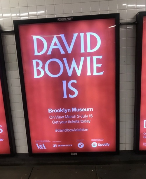 wingedbelievereagle: GOOD MORNING ! GOOD DAY ! MY FELLOW BOWIEDIANS  MORE PICTURES OF THE DAVID BOWI