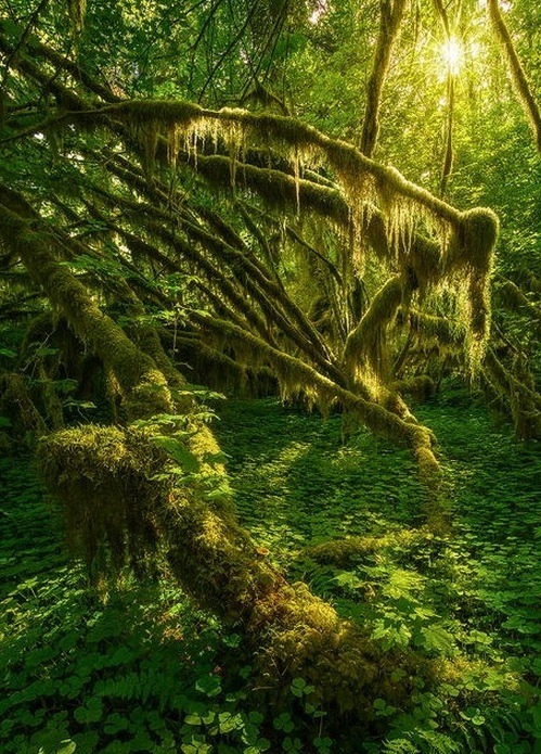 sweetd3lights:    By Alex Noriega  