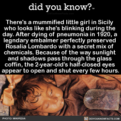 did-you-kno: There’s a mummified little