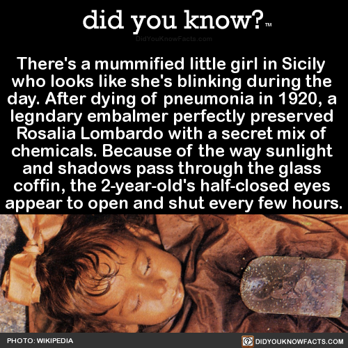 did-you-kno: There’s a mummified little girl in Sicily  who looks like she’s blinking during the  day. After dying of pneumonia in 1920, a  legndary embalmer perfectly preserved  Rosalia Lombardo with a secret mix of  chemicals. Because of the way