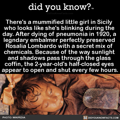 Porn did-you-kno: There’s a mummified little photos