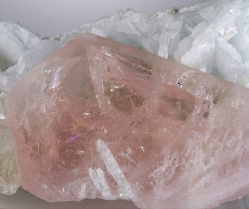ggeology:    Morganite, Quartz, Cleavelandite, and Albite // Dara-i-Pech pegmatite field, Nuristan, Afghanistan    