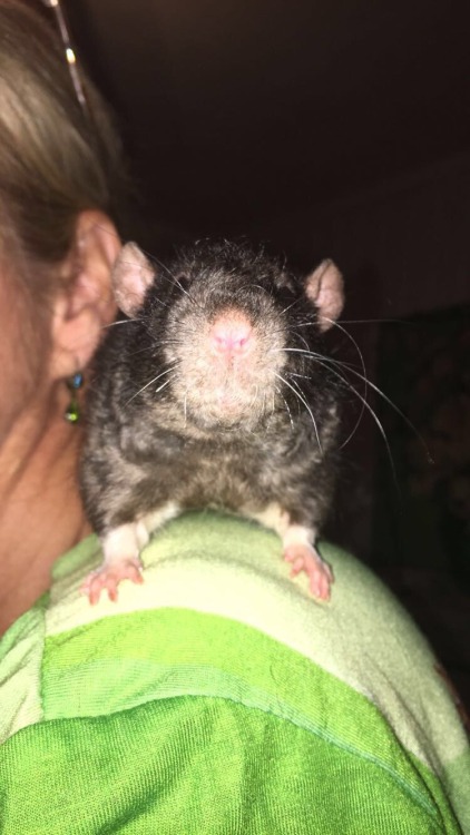 little bug hanging out with my mom when i’m not home