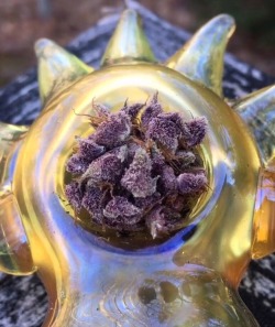 bluntburningprincess:Mendocino Purple in my Sun pipe 😈☀️ and yes, it really is this purple.