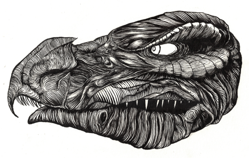 bowelfly:Holy shit I actually completed a moderately-sized creative project for once in my life. I wasn’t able to make it all the way through inktober, but at least I got all the Skeksis drawn.