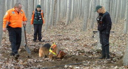 truecrimefairy:  How man’s best friend can help fight crimeDogs have been a part of police forces around the world since 1899 when a department in Belgium released its first organized police dog program. Dogs have a sense of smell that is 40 times greater
