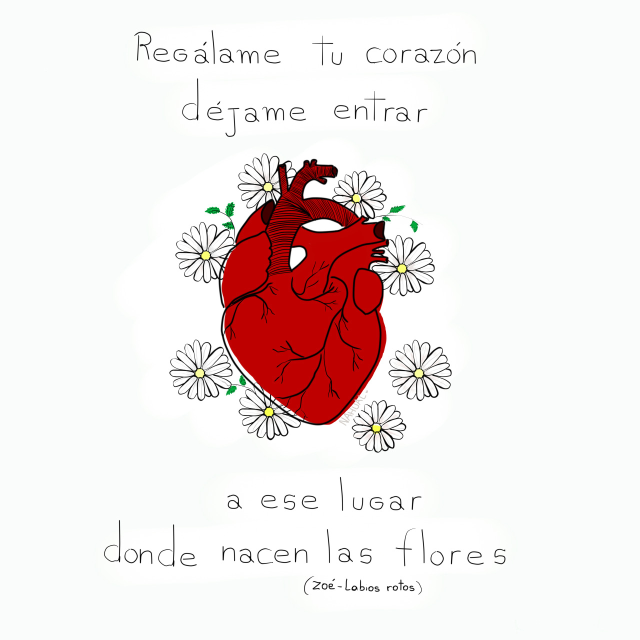 daninahual:  donde nace el amor ..