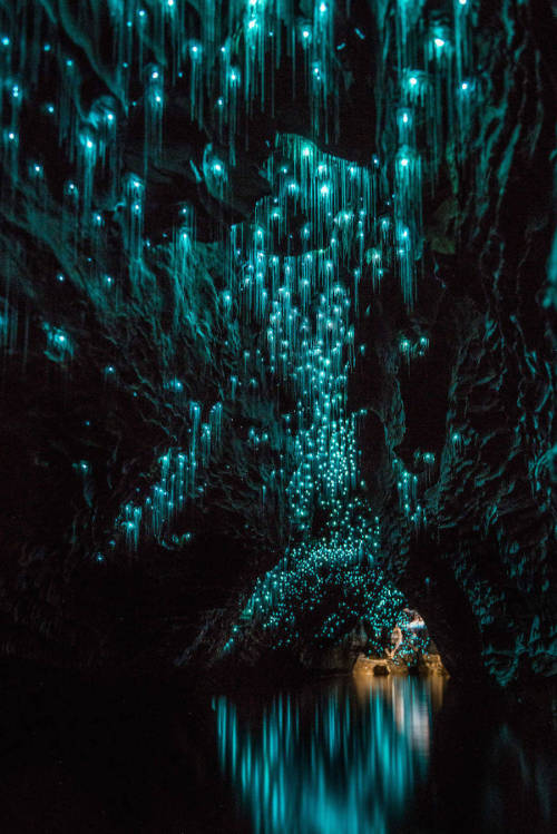 nevver:  Glow worms, Shaun Jeffers porn pictures