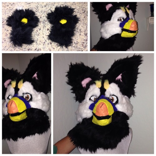 silentespurrs:  Fursuit for sale Puffin themed griffin  Starting bid $100www.furbuy.com/auct