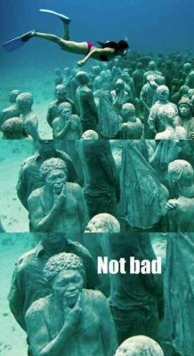 The Absolute Funniest Posts On Tumblr