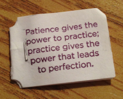 &ldquo;Patience give the power to practice; practice gives the power that leads to perfections.&