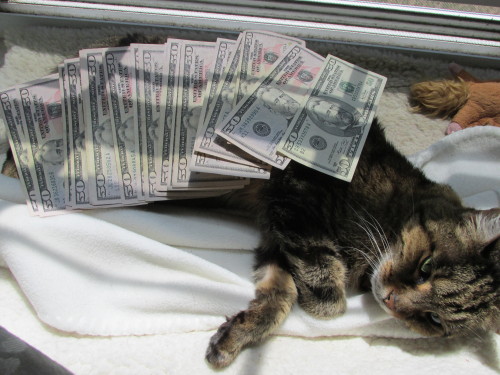 pairofplants: You’ve been visited by the money cat! Reblog for a future full of money!