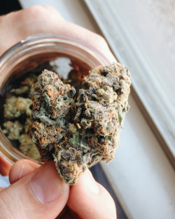 mykushgarden:weed