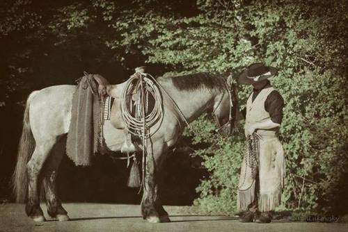 all-the-horses:Andaluz SacromontePayanca Preferido x Payanca CadenaCriollo, Stallion14.3hhBorn 