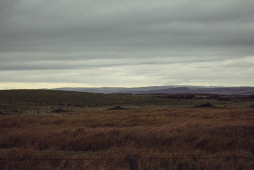 Curio Bay, Catlins, New Zealand.