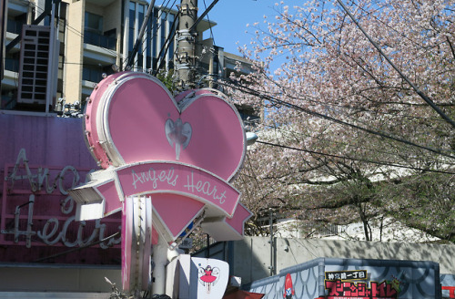 ninetail-fox:ANGELS HEART ,Harajuku