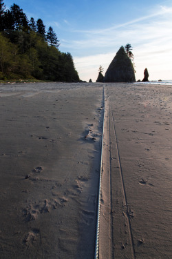 inhabitude:  breathtakingdestinations:  Shi Shi Beach - Olympic National Park - Washington - USA (von i8seattle)  I’ve wanted to visit the Northwest ever since The Goonies, Lost Boys, and A Thousand Country Roads by Robert James Waller.  