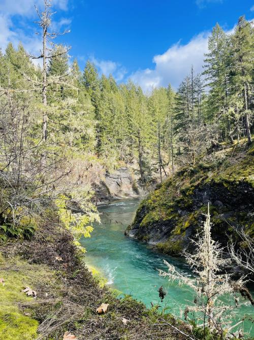 oneshotolive:  Cowichan River. Vancouver