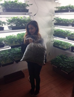 Pinupmodsandank:  Pinupmodsandank:  One Small Girl, One Big Ol’ Bag Of Bud, And