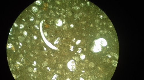geologyedinburgh:Practical in preparation for a geology field trip to Cyprus. Here in a series of th