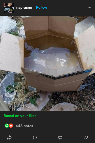 ging-ler:ging-ler:Love when Tumblr recommends me a post based on my likes and the post is just a picture of a cardboard box filled with water Like okay???